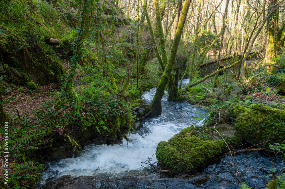 ROUTE OF THE MIDDLE RIVER MILLS, MIÑO, ROUTE OF THE MIDDLE RIVER MILLS, MIÑO,