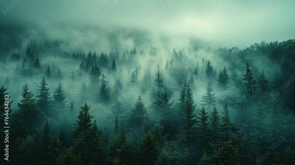 A Captivating View Of Fog and Mystical Woodland Moody Forest Landscape - obrazy, fototapety, plakaty 