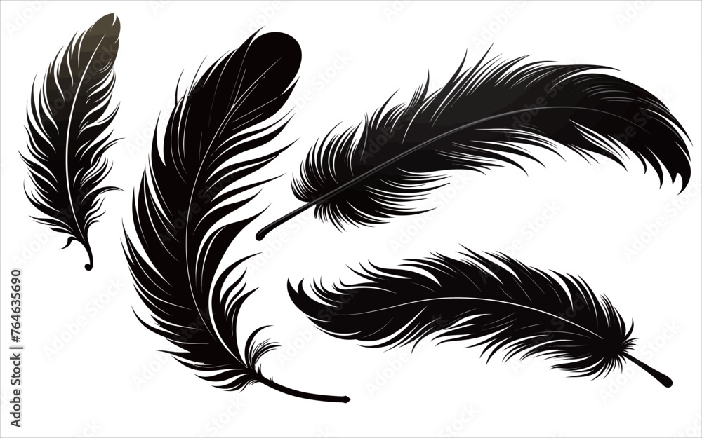 Hand drawn vector black and white feather art Hand drawn vector black and white feather art