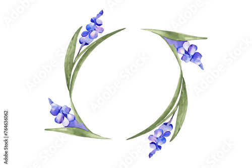 Watercolor painting of purple hyacinth flower with leaves in shape of round frame on transparent background