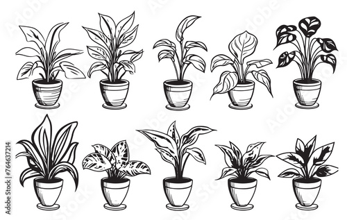 Vector set of sketches house plants in pots on a white background Vector illustration