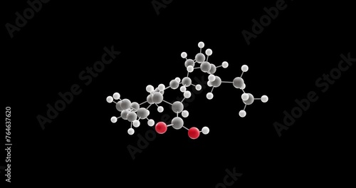 Arachidonic acid molecule, rotating 3D model of omega-6 fatty acid, looped video on a black background photo