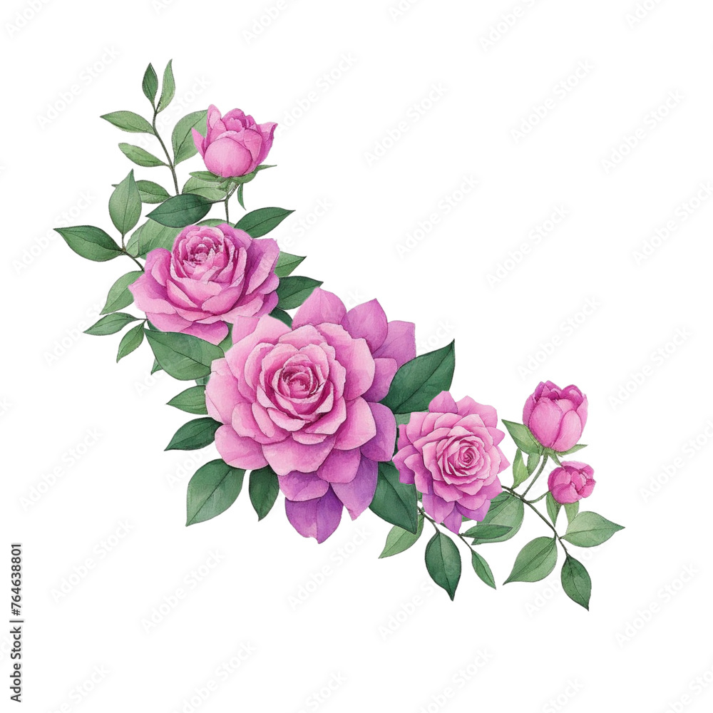 flower transparent background flower transparent background