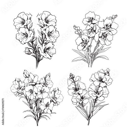 Larkspur set . Flower, stem, bud and leaf in black, Floral details in contour style with ornate Delphinium, july birth flower larkspur drawing.