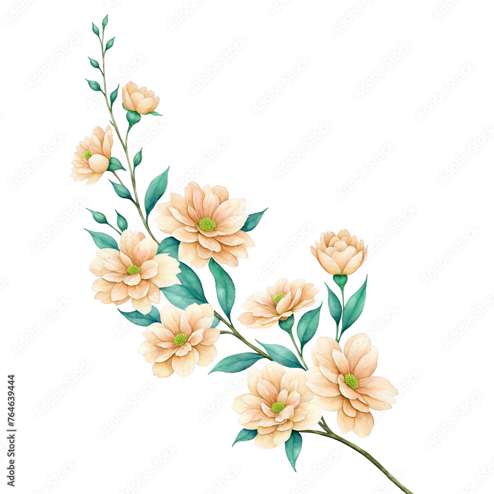 Obraz premium flower transparent background
