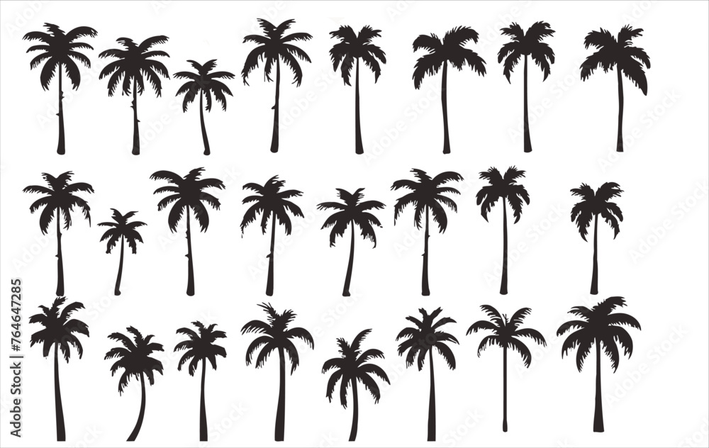 Vector set of palm trees on a white background - obrazy, fototapety, plakaty 