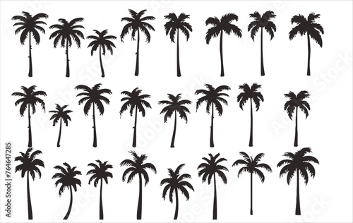 Vector set of palm trees on a white background © Wirestock