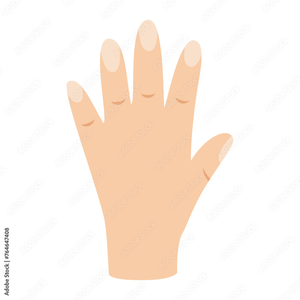 Vector illustration of cartoon hand isolated on white background. Vector illustration of cartoon hand isolated on white background.