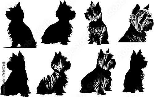 Yorkshire Terrier Dog Silhouette Bundle SVG. Cut File Show Dog Vector Art Pet Dog files for Cricut, Silhouette