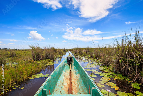 Canoe Ride: Navigating the Serene Waters of Mabamba Swamp, Uganda, Africa