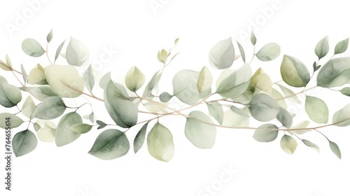 Image of eucalyptus branch on a white background.