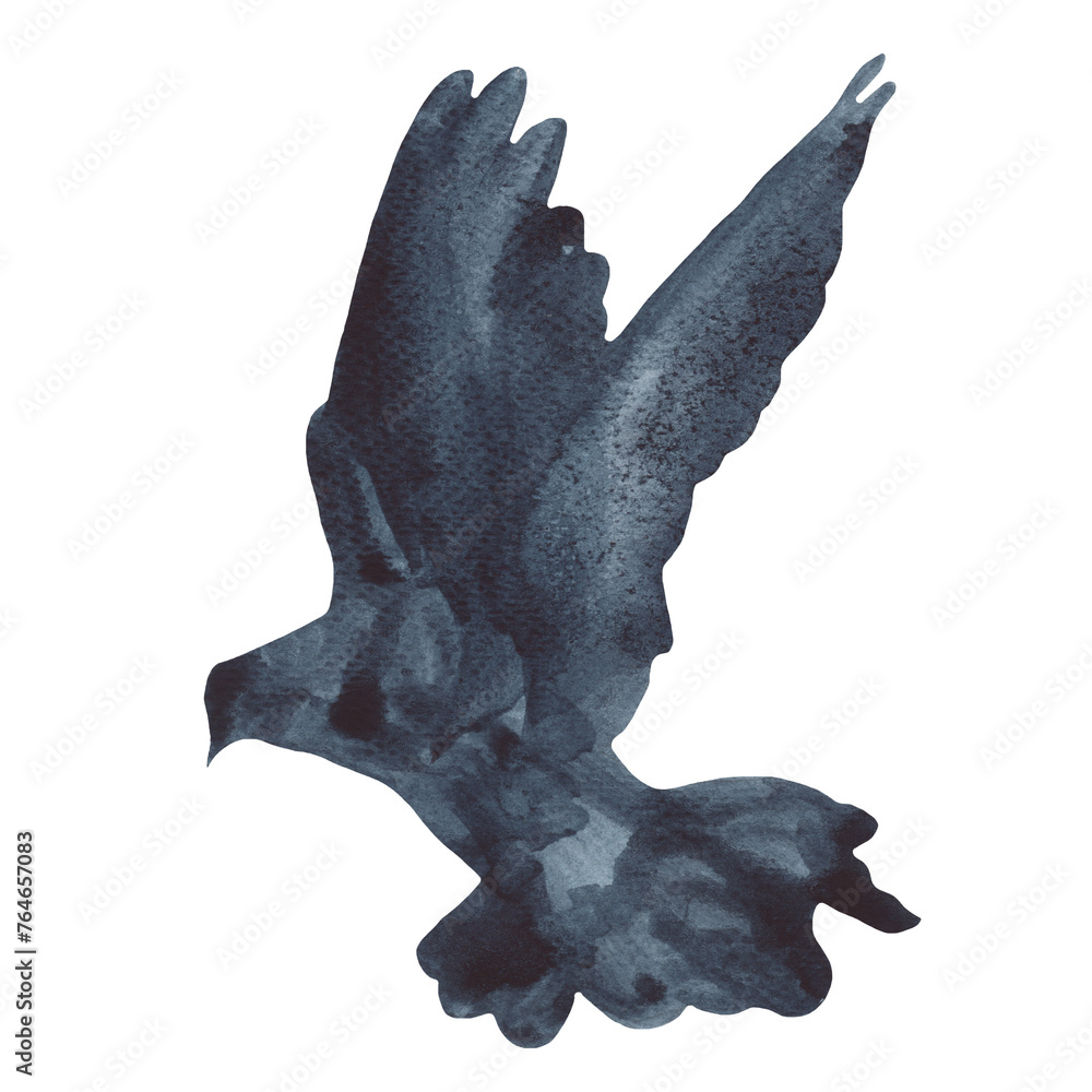 Fototapeta premium Watercolor flying birds silhouette. Seagull bird symbol and icon