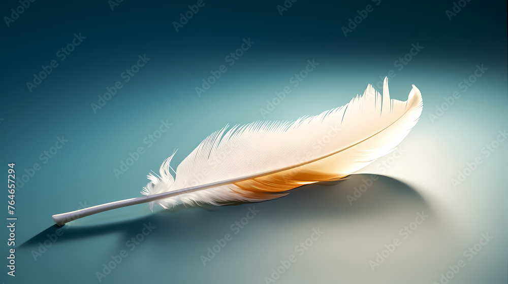 Obraz premium soft feathers