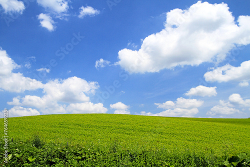 Obraz na plátně The View of Windows Wallpaper in Real: Biei’s Patchwork Road in Mid Summer, Hokkaido, Japan