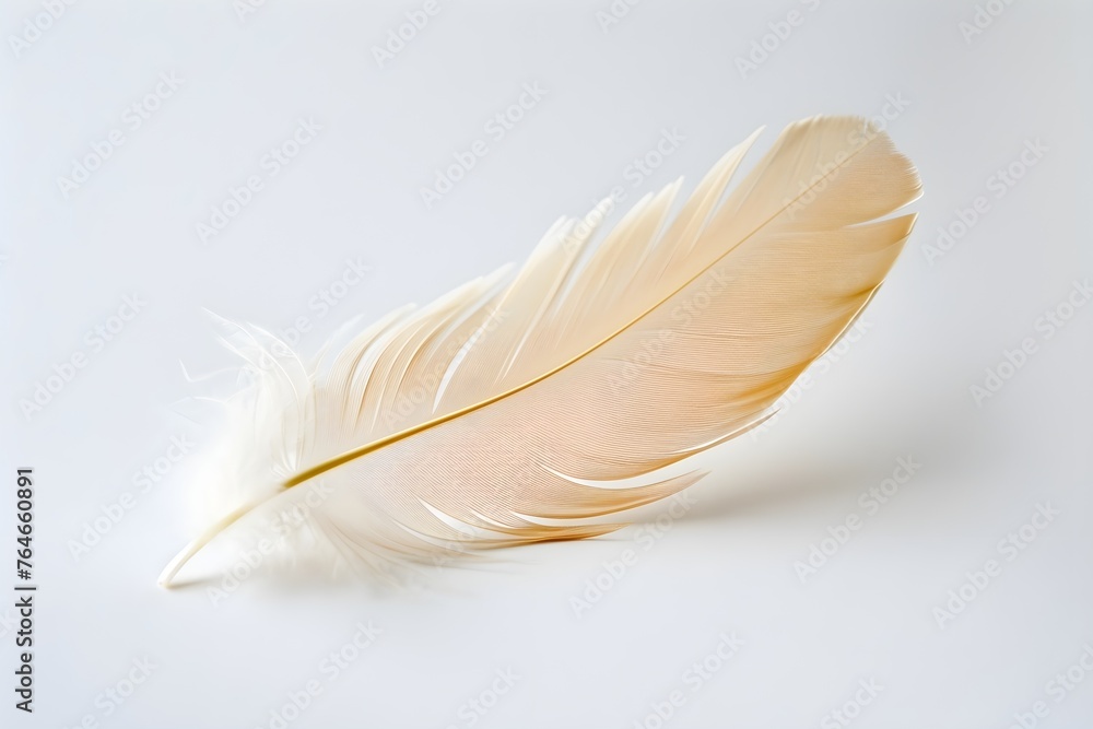 Obraz premium Golden feather