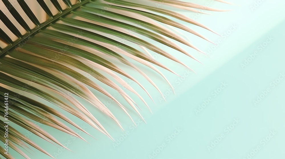 Fototapeta premium Minimalist background with palm leaves
