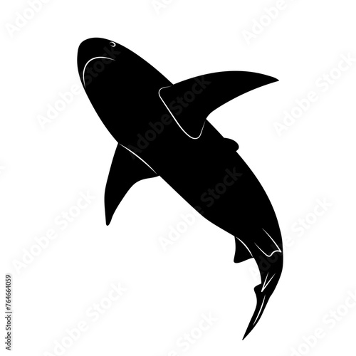 shark bottom view on a white background silhouette, vector