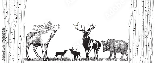 Hirsch und Wildschwein auf der Wiese illustration