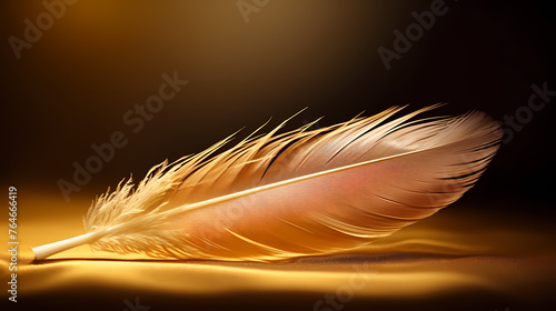 The depiction of feathers with exquisite details
