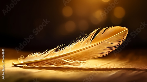 The depiction of feathers with exquisite details