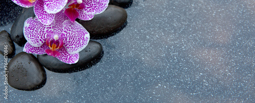 Black spa stone and pink orchid flowers on the gray table background.