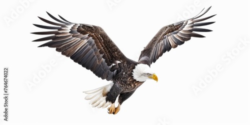 Eagle Soars High, Freedom Calls © Franz Rainer