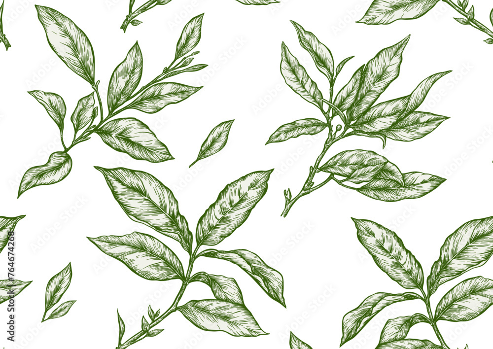 Fototapeta premium Branch with leaves of green tea. Seamless pattern, background. Vector illustration. In botanical style