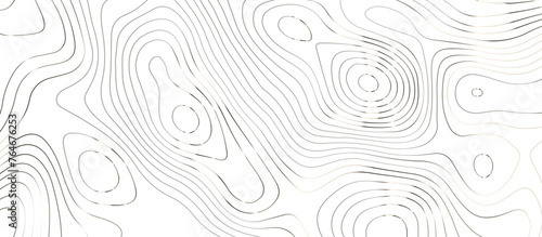 Topographic map background geographic line map pattern .panorama view silver color wave curve lines .geographic mountain relief abstract grid .the concept map of a conditional geography map .