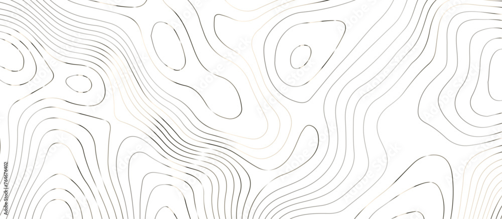 Topographic map background geographic line map pattern .panorama view silver color wave curve lines .geographic mountain relief abstract grid .the concept map of a conditional geography map . Topographic map background geographic line map pattern .panorama view silver color wave curve lines .geographic mountain relief abstract grid .the concept map of a conditional geography map .