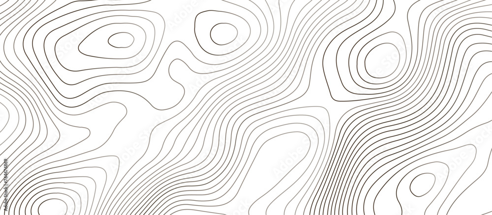 Topographic map background geographic line map pattern .panorama view black color wave curve lines .geographic mountain relief abstract grid .the concept map of a conditional geography map . - obrazy, fototapety, plakaty 