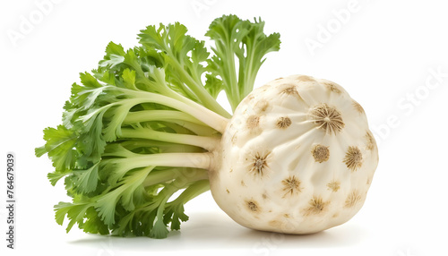 Celery root isolated on white background