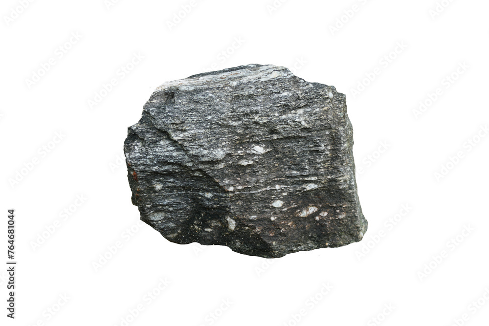 A big gneiss metamorphic rock isolated on a white background.