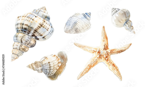 Assorted watercolor sea shells and starfish