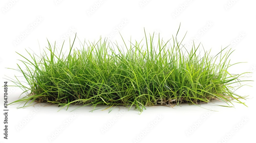 Another depiction of isolated green grass on a white background, reinforcing the theme of simplicity and nature in design Another depiction of isolated green grass on a white background, reinforcing the theme of simplicity and nature in design
