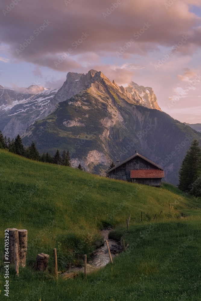 house with a swiss alp view