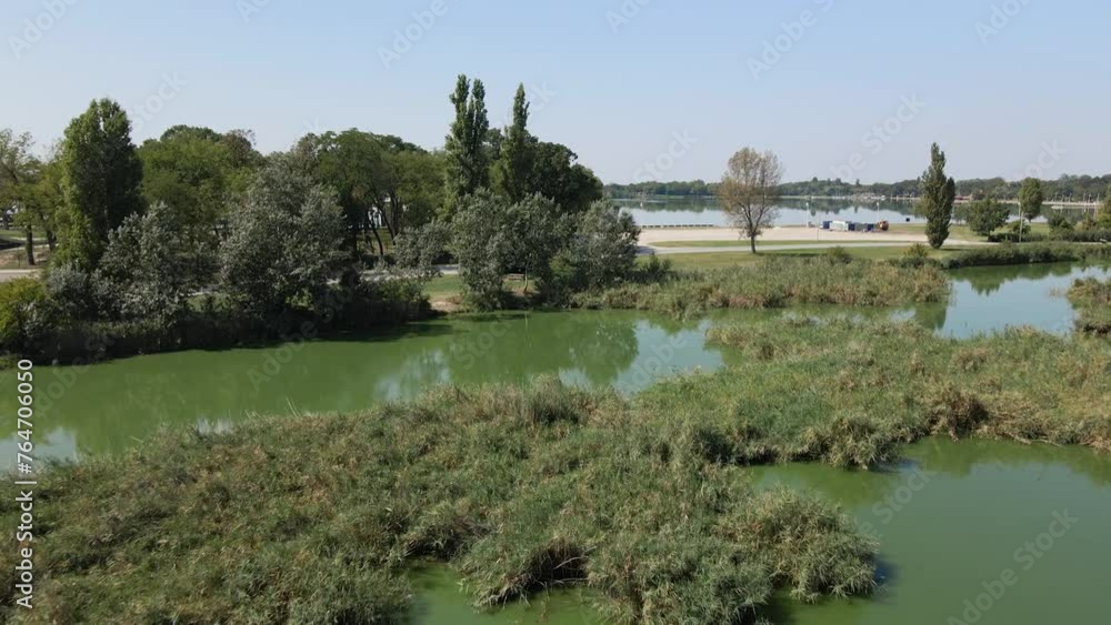 Green trees and a road separating two lakes in town Subotica, Serbia Green trees and a road separating two lakes in town Subotica, Serbia