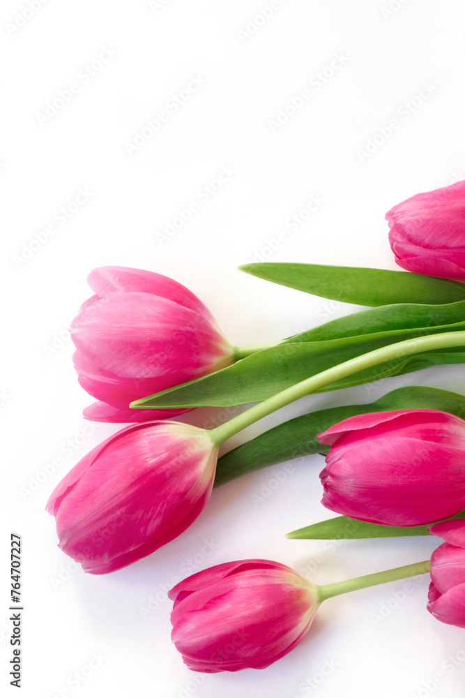 Pink tulip flowers bouquet on white background. Flat lay, top view. Pink tulip flowers bouquet on white background. Flat lay, top view.