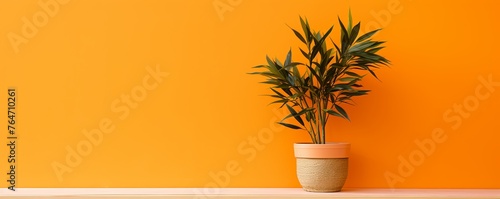 Potted plant on table in front of orange wall, in the style of minimalist backgrounds, exotic #764710261
