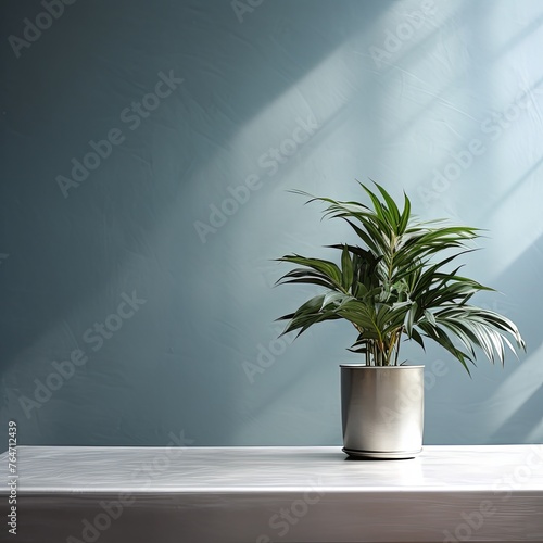 Potted plant on table in front of silver wall  in the style of minimalist backgrounds