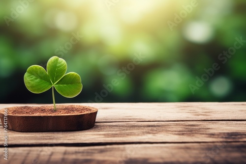 Fresh green lucky clover leaf on beautiful bokeh background with space for text or copy space
