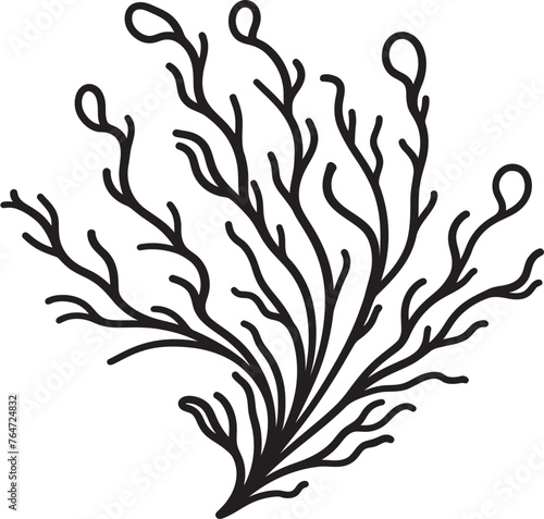 Coastal Compositions Vector Design with Doodle Seaweed Iconography Seaweed Scrolls Doodle Seaweed Vector Graphics Unfolding Marine Tales