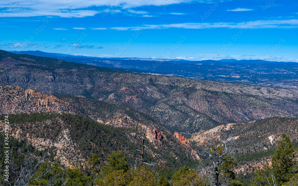 Scenic View of a dry mountainous area covered with isolated conifers, cacti and drought-resistant vegetation, New Mexico