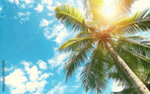 Coconut palm tree on blue sky background