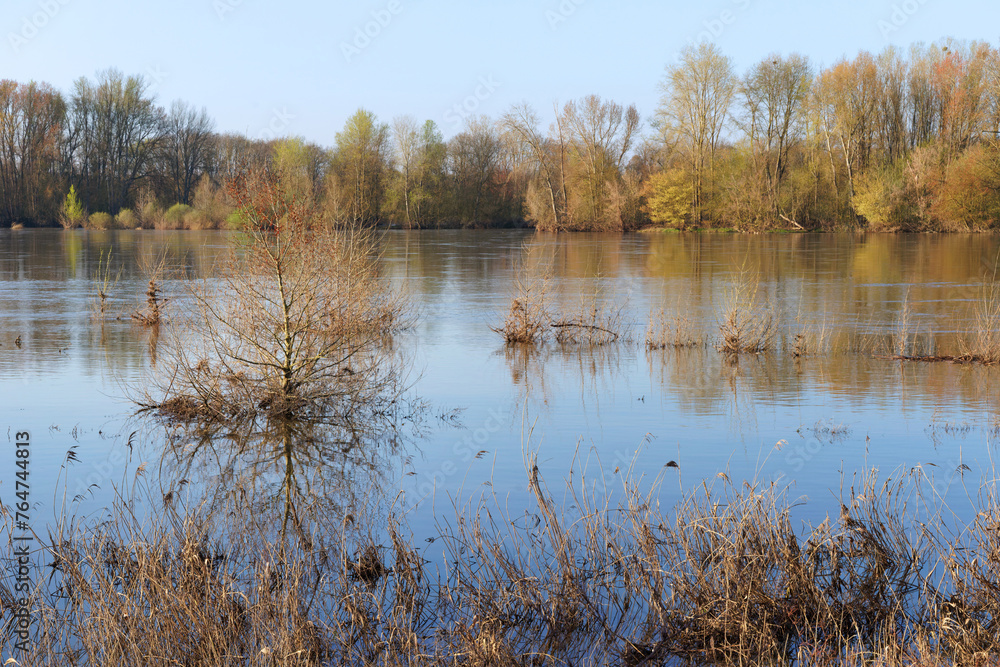 Loire river bank in Combleux village