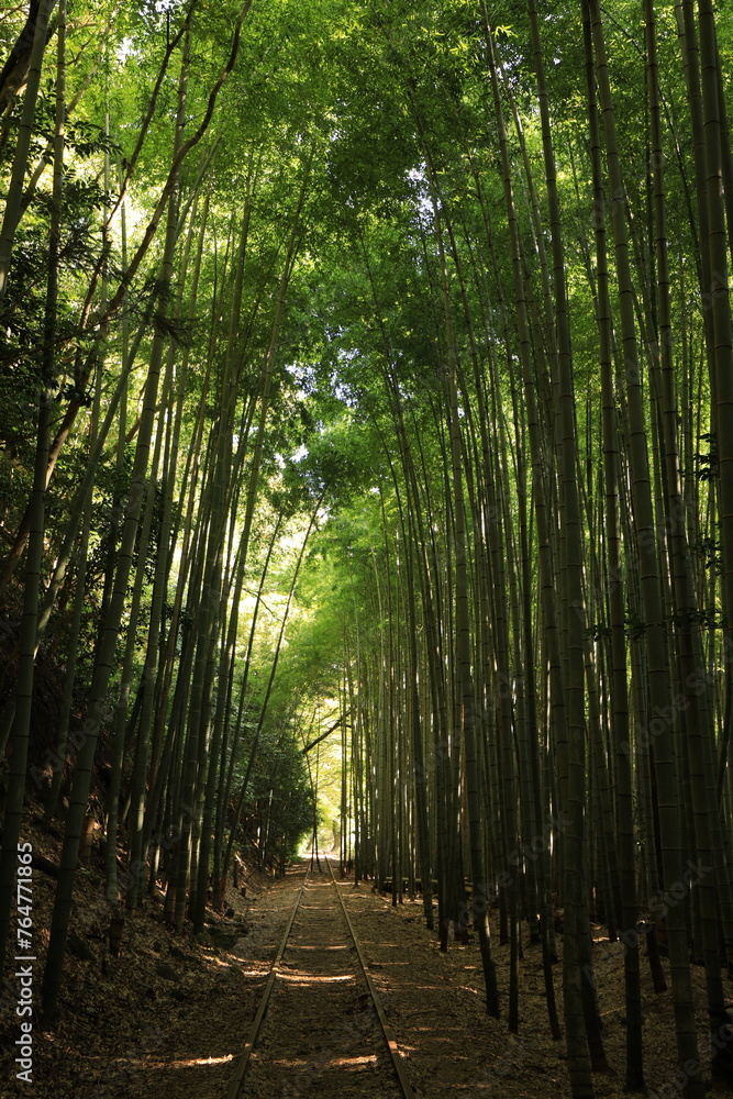 倉吉廃線跡