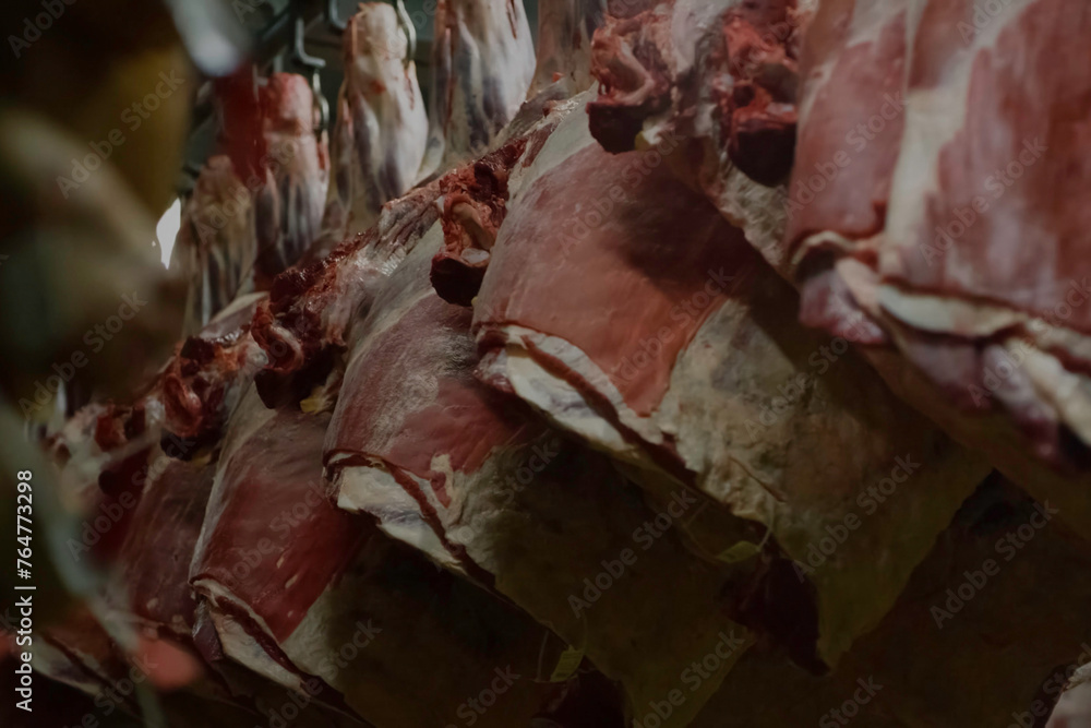 Pork hams hanging on rack. Meat factory.