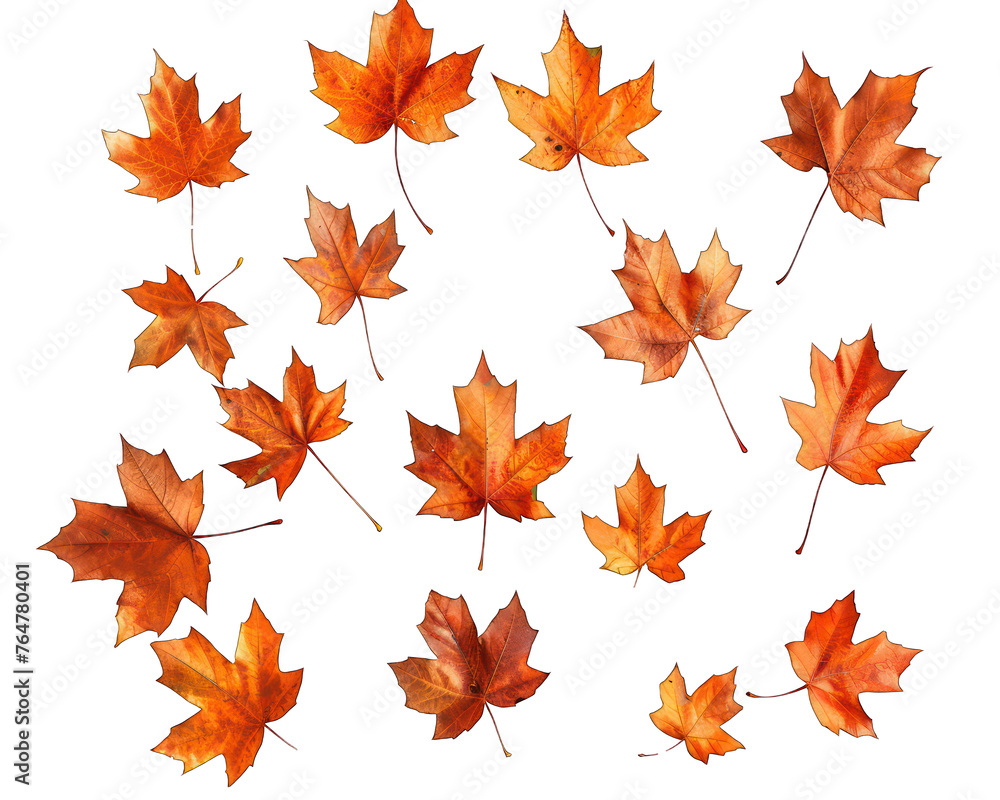 Obraz premium Autumn leaves seamless pattern background
