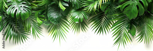 Tropical Palm Leaves Frame on White Background