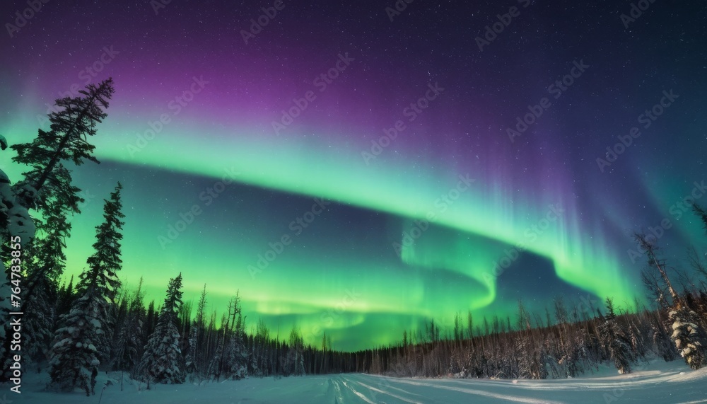 The Night Sky Above A Snow-laden Coniferous Forest Is Illuminated By A ...