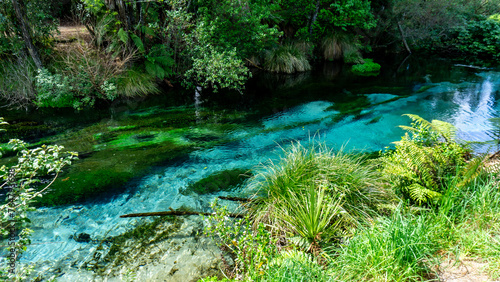 Hamurana Springs photo